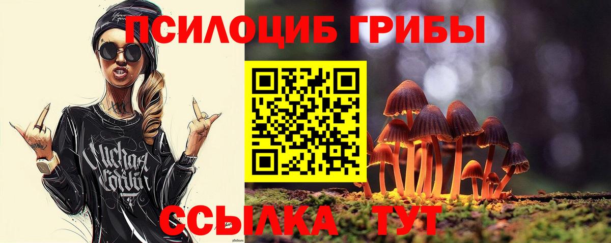 Псилоцибиновые грибы мухоморы  Вход с VPN  Боровичи 