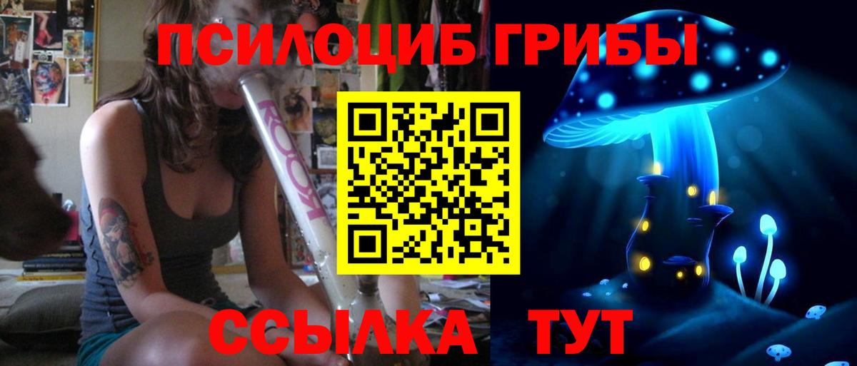 Галлюциногенные грибы Cubensis Боровичи